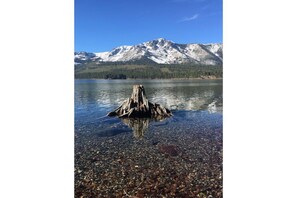 Ein klarer See mit einem markanten Baumstumpf im Vordergrund und schneebedeckten Bergen im Hintergrund.