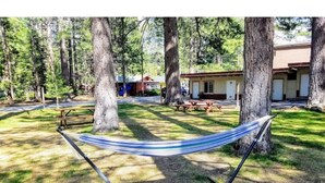A hammock in a wooded area with a building in the background. - 01-The Cascade Falls studio at the Washoe (South Lake Tahoe)