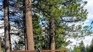 A wooden sign with the text "THE WASHOE 751 EMERALD BAY ROAD" in a natural setting with trees and a grassy area. - 01-The Cascade Falls studio at the Washoe (South Lake Tahoe)