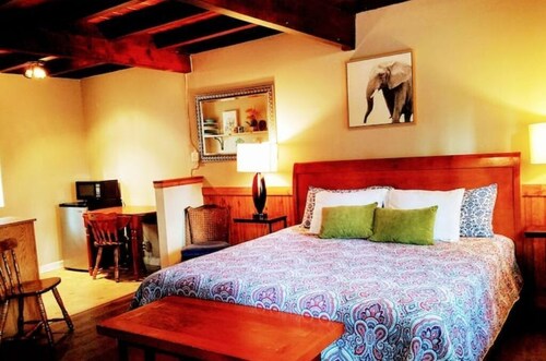 02-The Bear Paw Pet friendly King studio #2