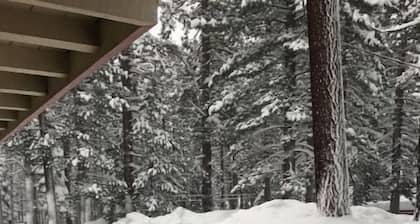 02-The Bear Paw Pet friendly King studio #2