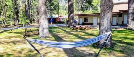 Enceinte de l’hébergement