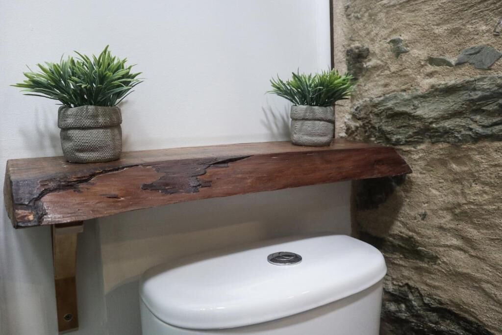 Ein rustikales Holzregal mit zwei Topfpflanzen auf einem weißen Toilettenbecken.