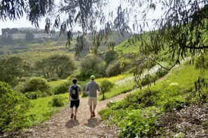 Two people walking on a dirt path surrounded by greenery.