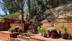A wooden deck with steps leading up to a seating area, surrounded by potted plants and a wooden fence. - Garden Retreat | Firepit | 911Mbps | W/D| Smart TV (San Francisco)