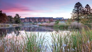 A hotel with a large building, a pond, and surrounding vegetation.