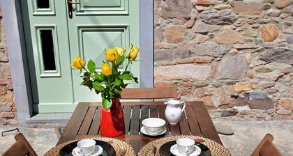 Enchantment of the Arches