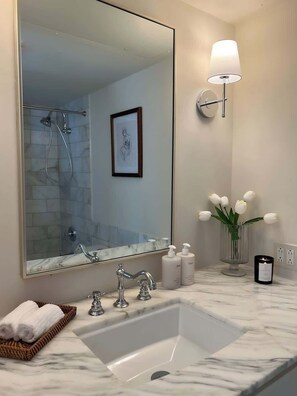 Shower, hair dryer