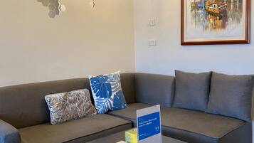 TV, Netflix, streaming services