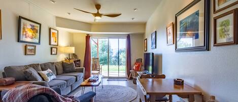 TV connectée, cheminée, lecteur de DVD, vidéothèque