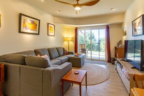 Smart TV, fireplace, DVD player, video library