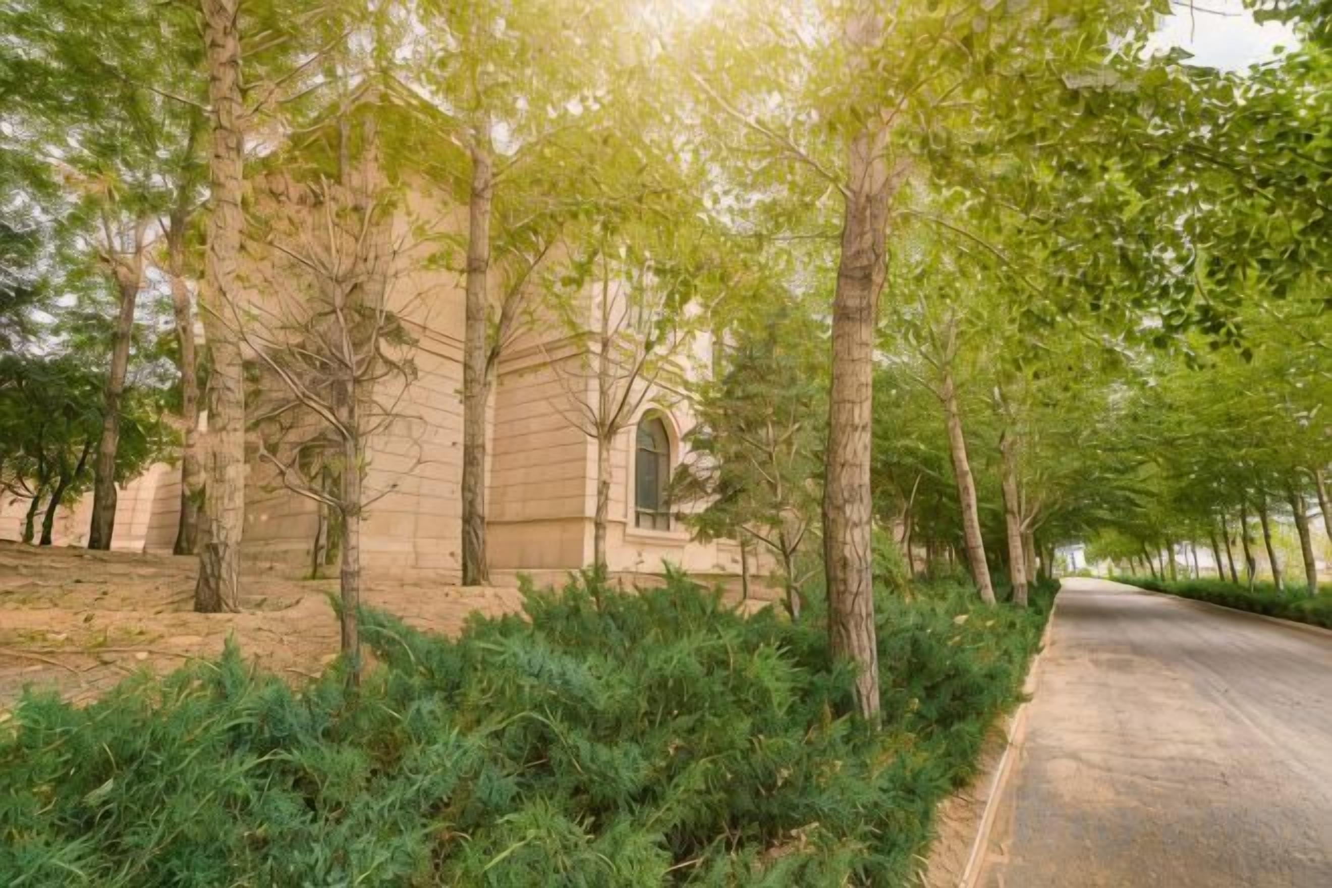 A paved pathway flanked by trees and a building with a window.
