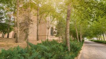 A paved pathway flanked by trees and a building with a window.