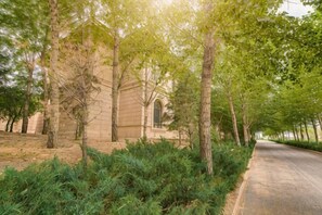 Un sendero pavimentado bordeado por árboles y un edificio con una ventana.