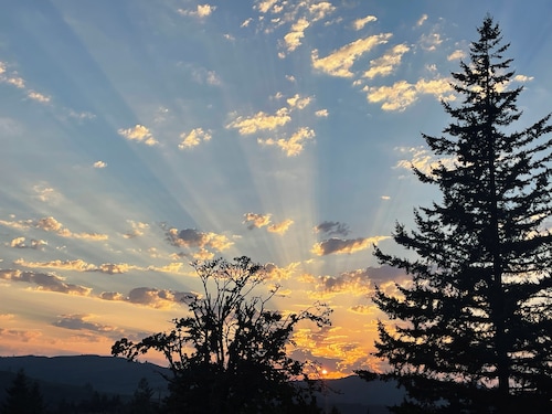 Hunter and gatherer ‘s Hideaway