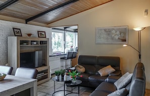 TV, fireplace, DVD player