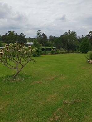 Property grounds - Serenity Bus Magic with breakfast hamper (Werombi)