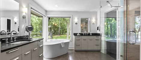 Combined shower/tub, hair dryer, towels