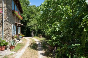 Property grounds - Beautiful private villa with WIFI, private pool, hot tub, TV and terrace, close to Florence (Montepulico)