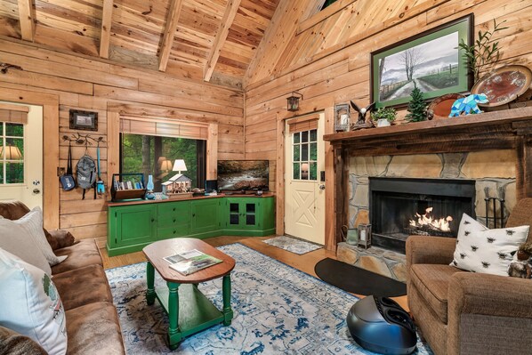 Smart TV, chimenea, reproductor de DVD y libros 