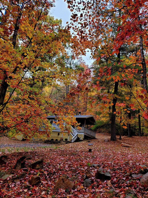Property grounds - Dog friendly cabin. Peaceful nature getaway. (Hinton)