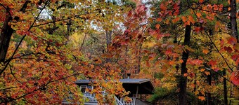 Dog friendly cabin. Peaceful nature getaway.