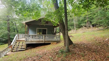 Escape to a secluded cabin surrounded by tall trees and dense foliage.