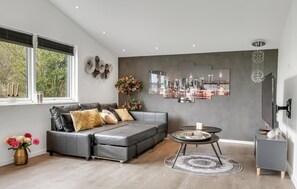 TV, DVD player - Luxurious home in ølsted (Ølsted)