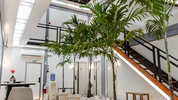 A modern hotel lobby with a staircase, potted plants, and a reception desk. - MORIYAMA HOTEL (Mandaue)