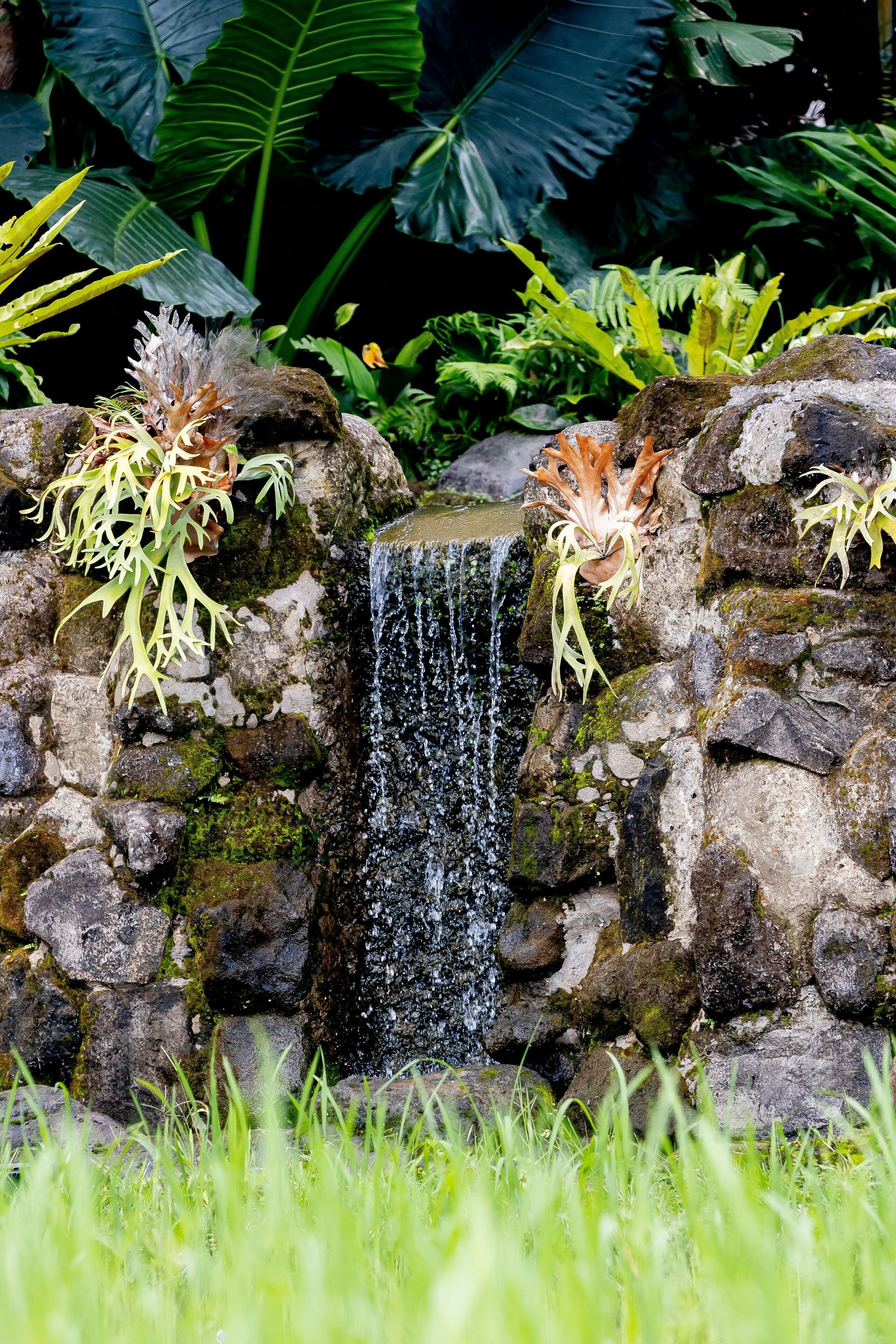 A waterfall cascading over a moss-covered stone wall, surrounded by lush greenery.