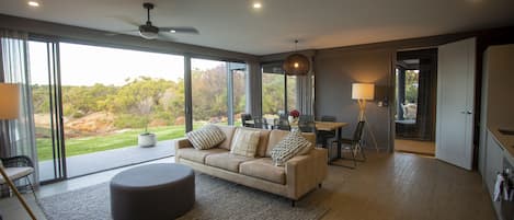 Smart TV, fireplace