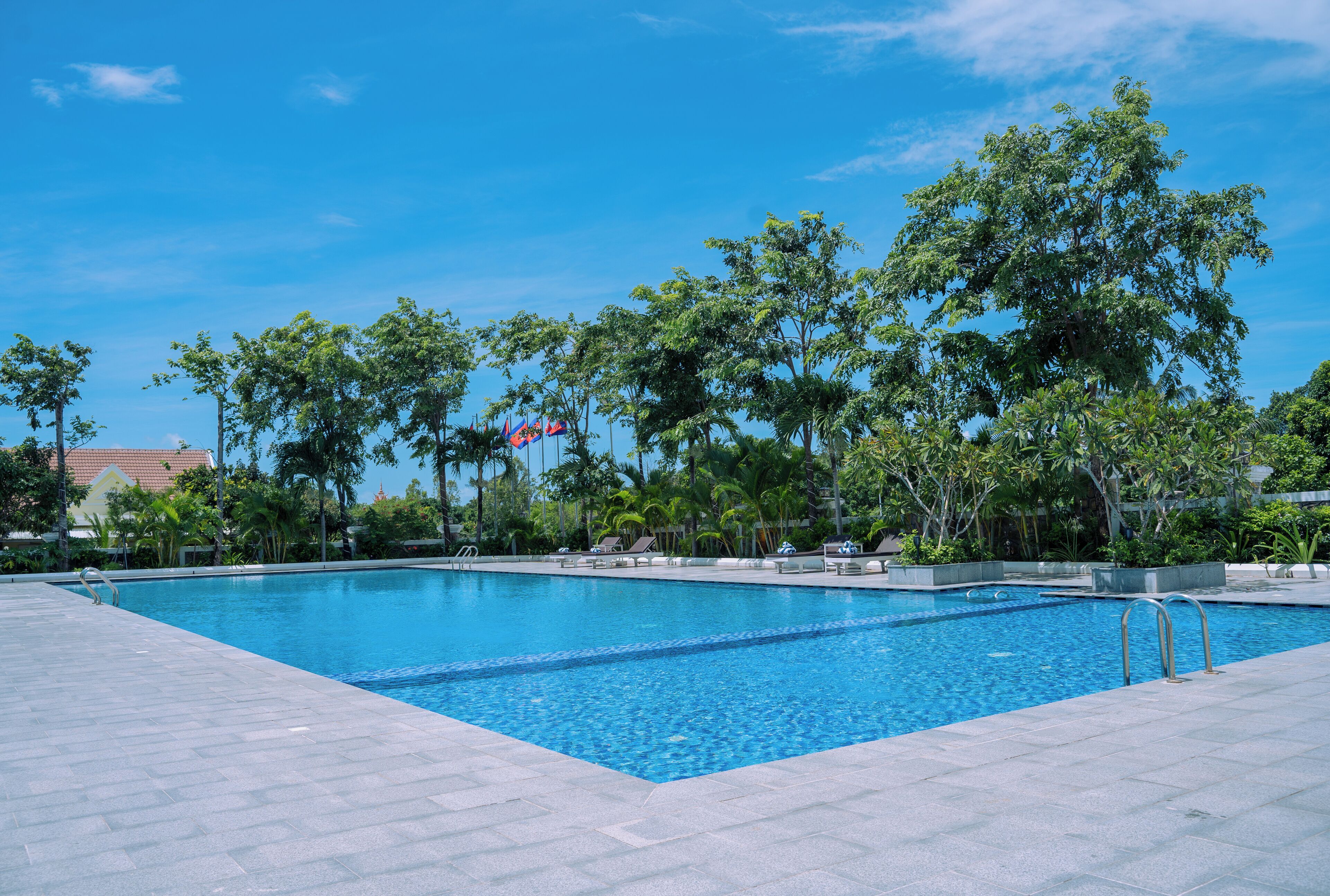 A rectangular swimming pool with clear blue water, surrounded by a tiled deck and lush green trees.