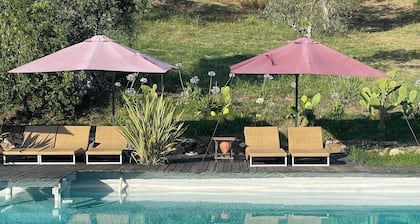 Romantic HideAway in an Old Olive Grove - EcoTourism - Huge Pool - E-Charger