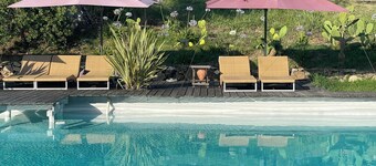Romantic HideAway in an Old Olive Grove - EcoTourism - Huge Pool - E-Charger