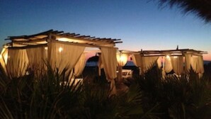 Un espace extérieur abrité, doté d’une structure en forme de pergola et entouré de plantes tropicales.
