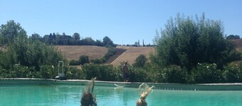 Incantevole casa vacanze in un vecchio uliveto · vista stupenda· piscina gigante