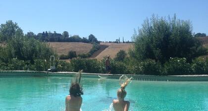 Romantic HideAway in an Old Olive Grove - EcoTourism - Huge Pool