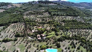 Vista aerea di una proprietà con piscina, diversi edifici e un paesaggio circostante di alberi e campi aperti.