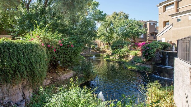 A serene courtyard with a small water feature, lush greenery, and a building with a modern design.