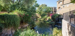 A serene courtyard with a small water feature, lush greenery, and a building with a modern design. - Biltmore Area Spacious 2 bedrooms 2 baths townhome with a bonus room and balcony (Phoenix)