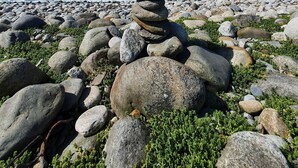 Un amas de rochers sur une plage de galets, avec l’océan en arrière-plan.
