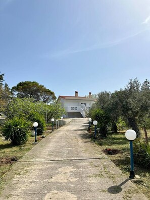 House | Interior - Alepochori Seaside Village (Megara)
