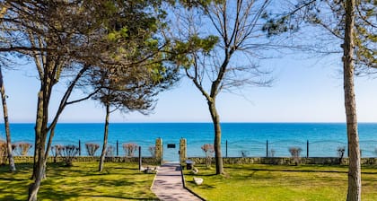 Quiet villa 50m way from the beach