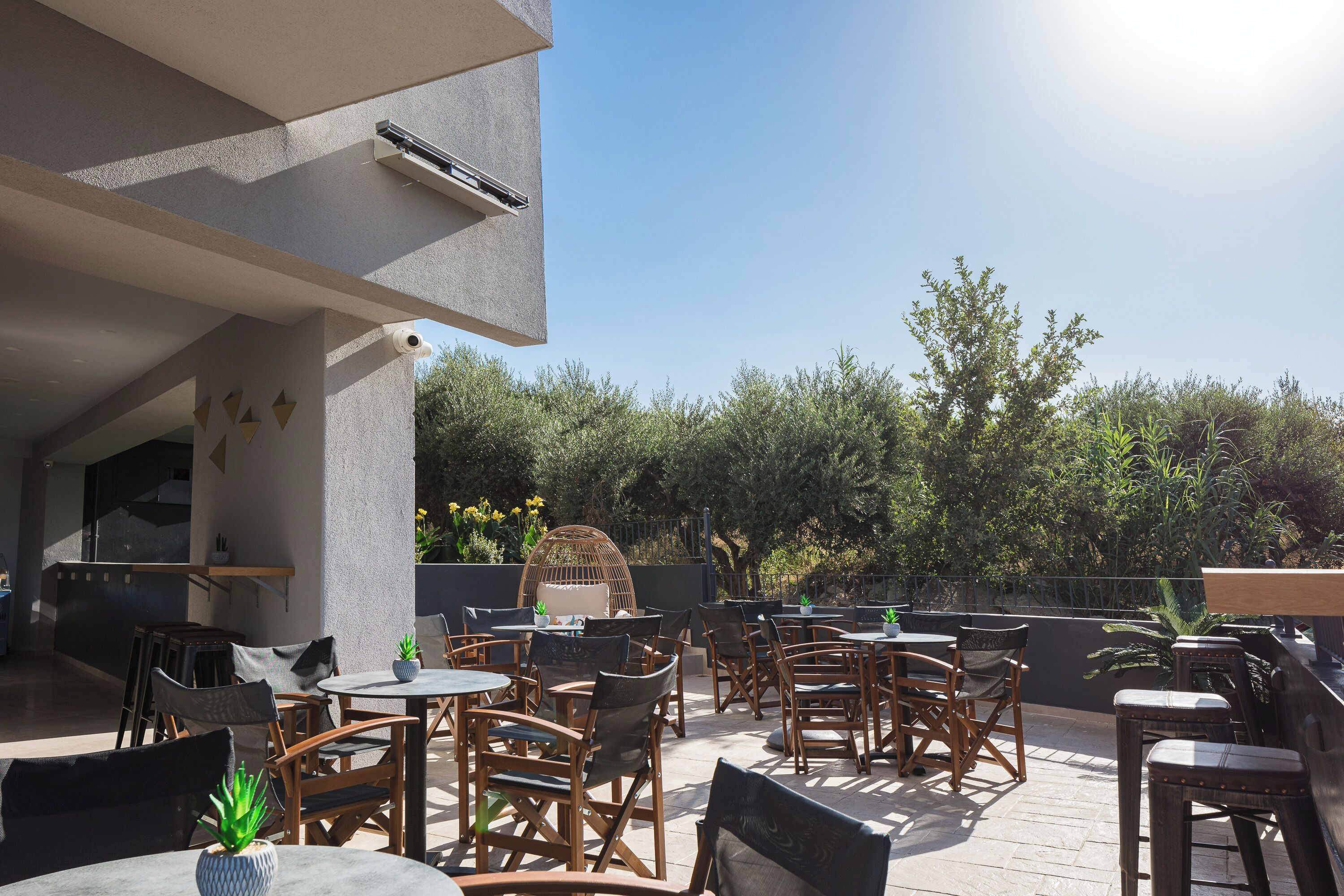 Un patio al aire libre con varias mesas y sillas de madera, una silla de mimbre y plantas en macetas.