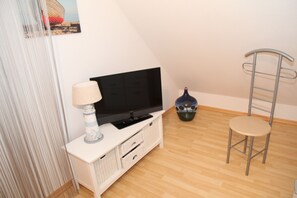 تلفزيون، مدفأة، مشغل دي في دي