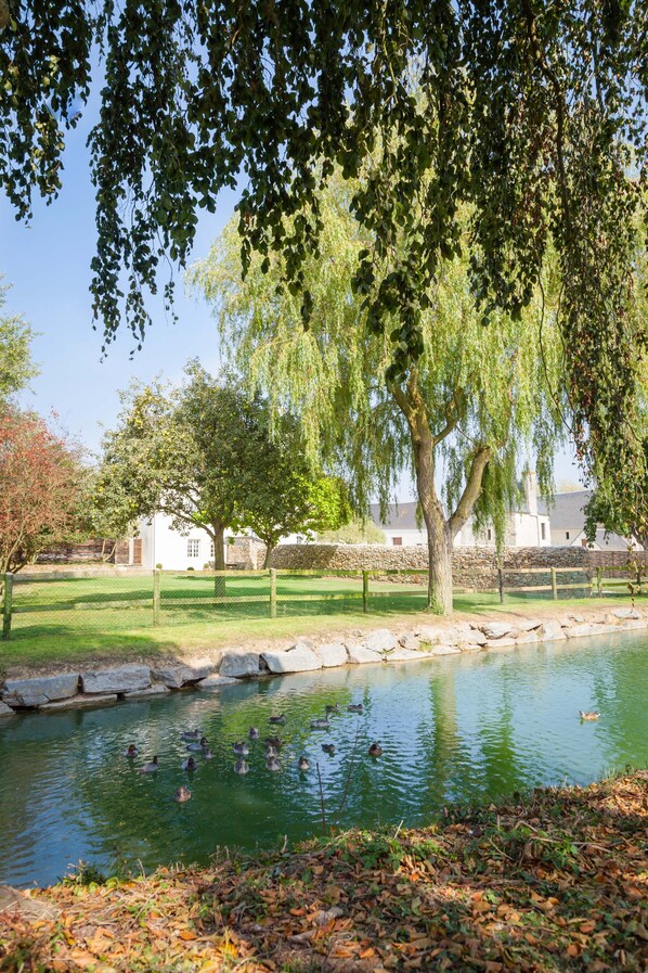 A serene pond with ducks, surrounded by trees and a stone wall.
