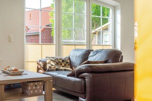 تلفزيون، مدفأة، مشغل دي في دي، كُتُب