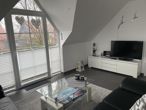 تلفزيون، مشغل دي في دي، ستيريو