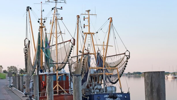 A dock with several boats moored, including a blue boat named "JAN GROOTEN GREET OIEL". - Sehr Schöne Ferienwohnung in Zentraler und Ruhiger Lage (Greetsiel)