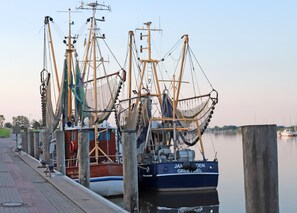 A dock with several boats moored, including a blue one labeled 'JAN DEN GREET OIEL'.
